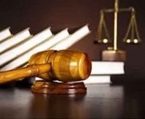 Litigation-Support