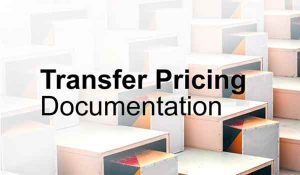 Transfer-pricing-documentation